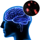 the memory wave official logo